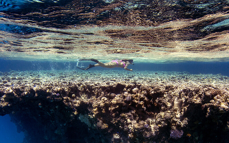 woman snorkeling