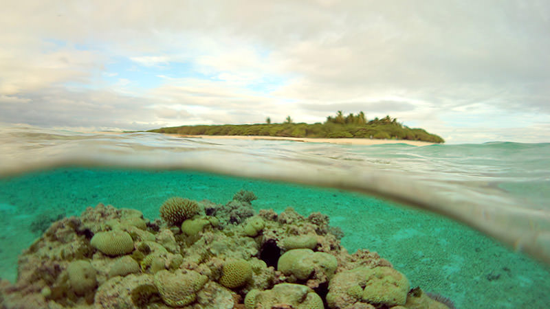 above and below water view of rose atoll